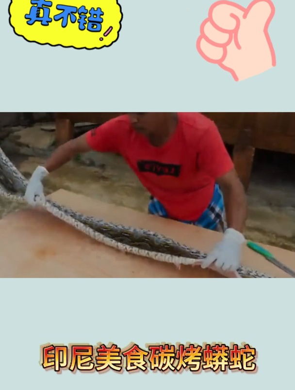 印尼美食碳烤蟒蛇2