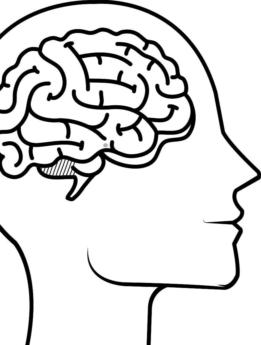 现在看到的是小腿外侧的两块肌肉