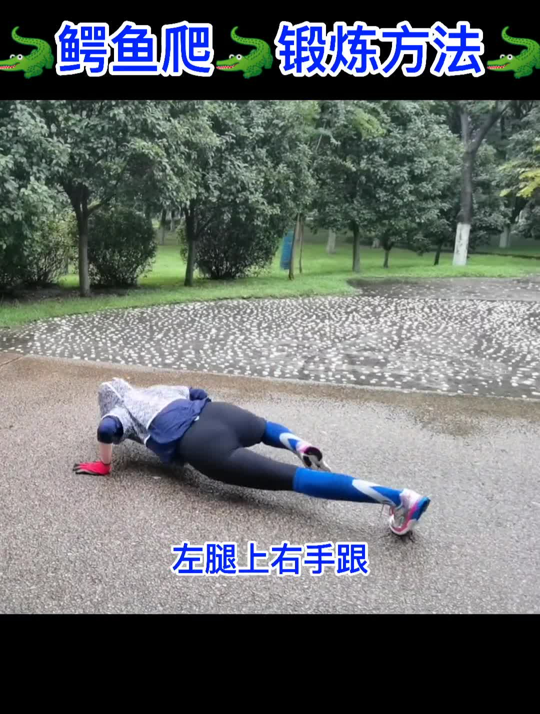 鳄鱼爬锻炼方法很重要,这里给你安排