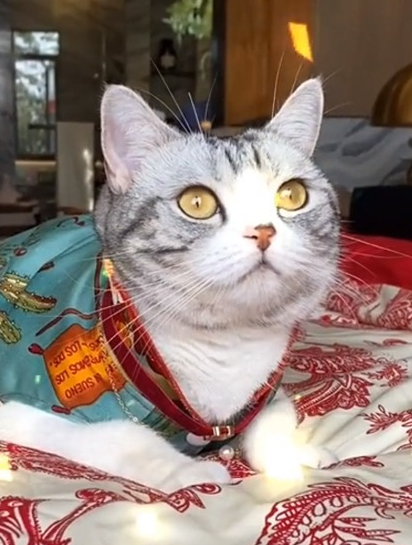 到郑州参加泡芙妈婚礼啦～