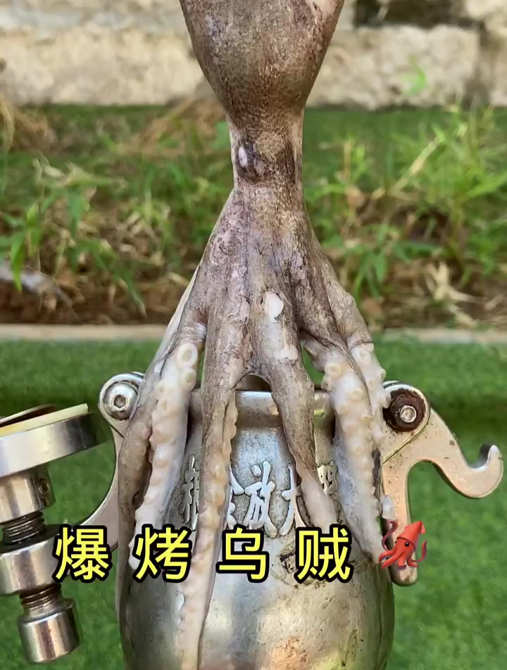 爆烤八爪鱼,高端的食材做法要有仪式感