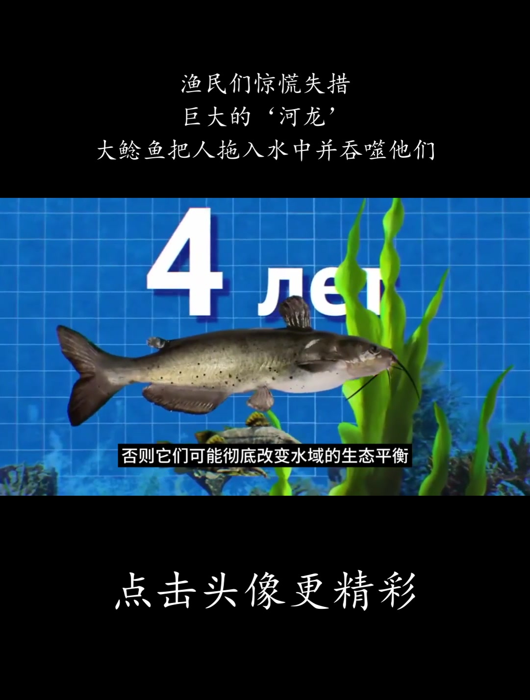 渔民们惊慌失措,巨大的‘河龙’!大鲶鱼把人拖入水中并吞噬他们