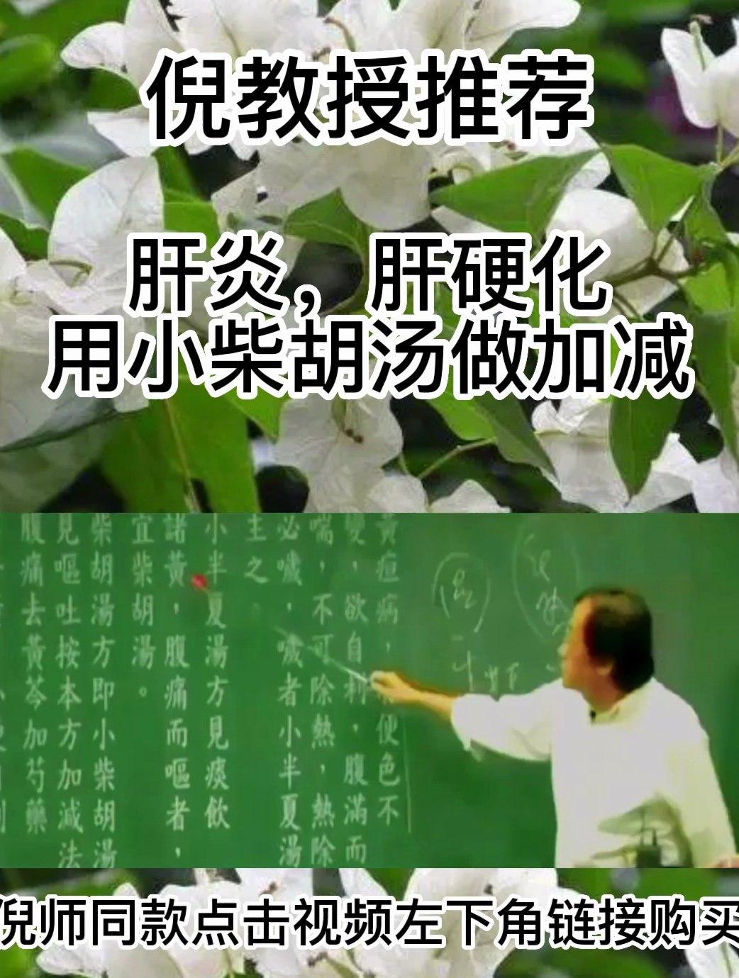 小柴胡汤主治伤寒少阳证,症见往来寒热,胸胁苦满,默默不欲饮食