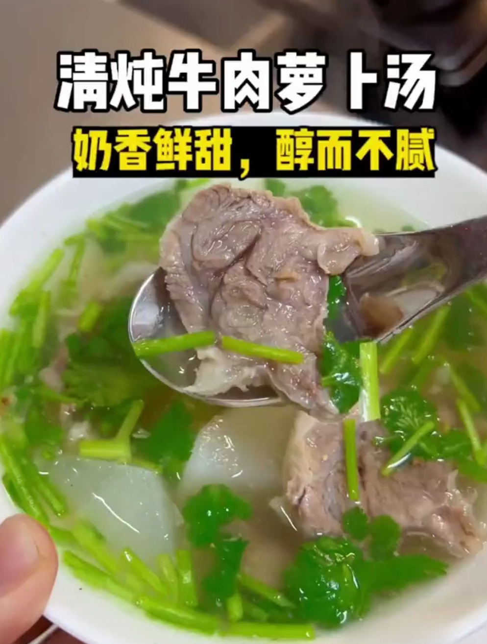 奶香奶香的清炖牛肉萝卜汤!真特喵的好吃!