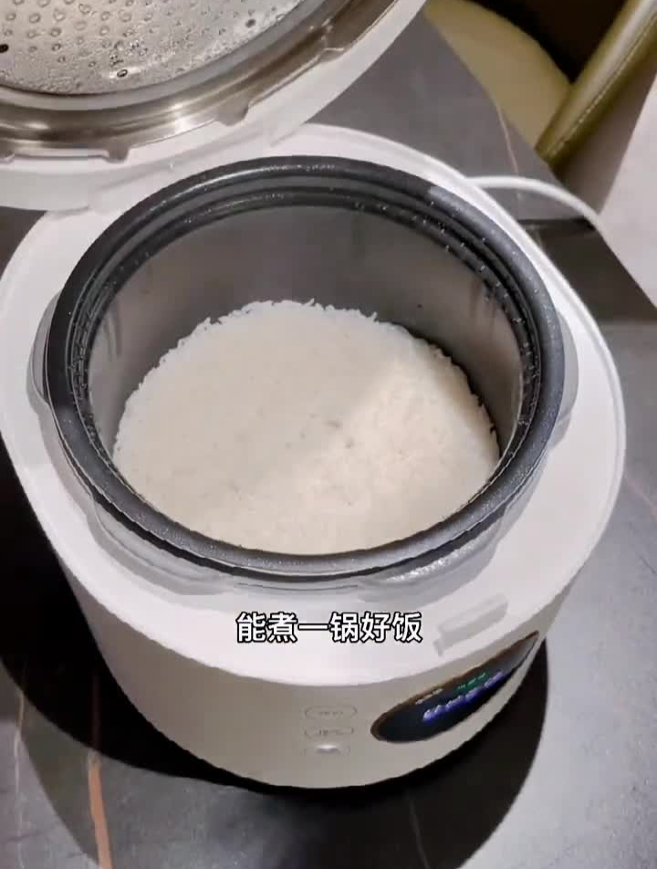 一锅两用的电饭煲,做饭炖菜两不误618好物节臻米电压力锅