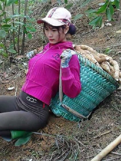 美女的120天农场生活,免费种植和照顾蔬菜,收获木薯作为食物!
