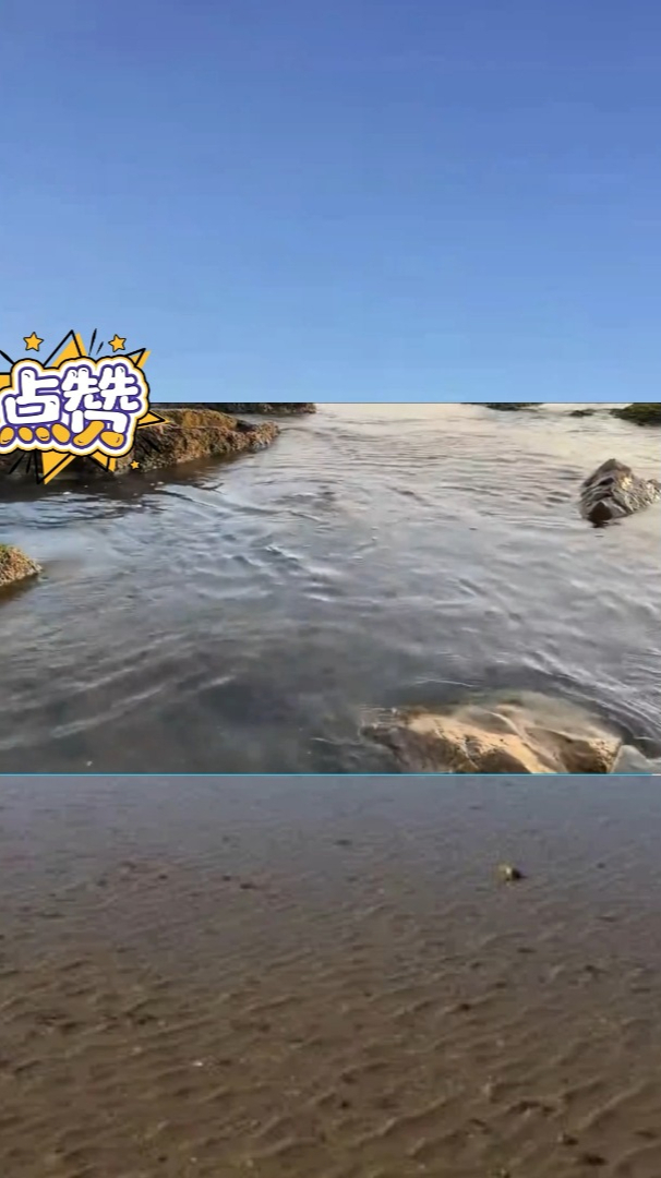 海水退潮后,在海滩边,抓了个皮皮虾