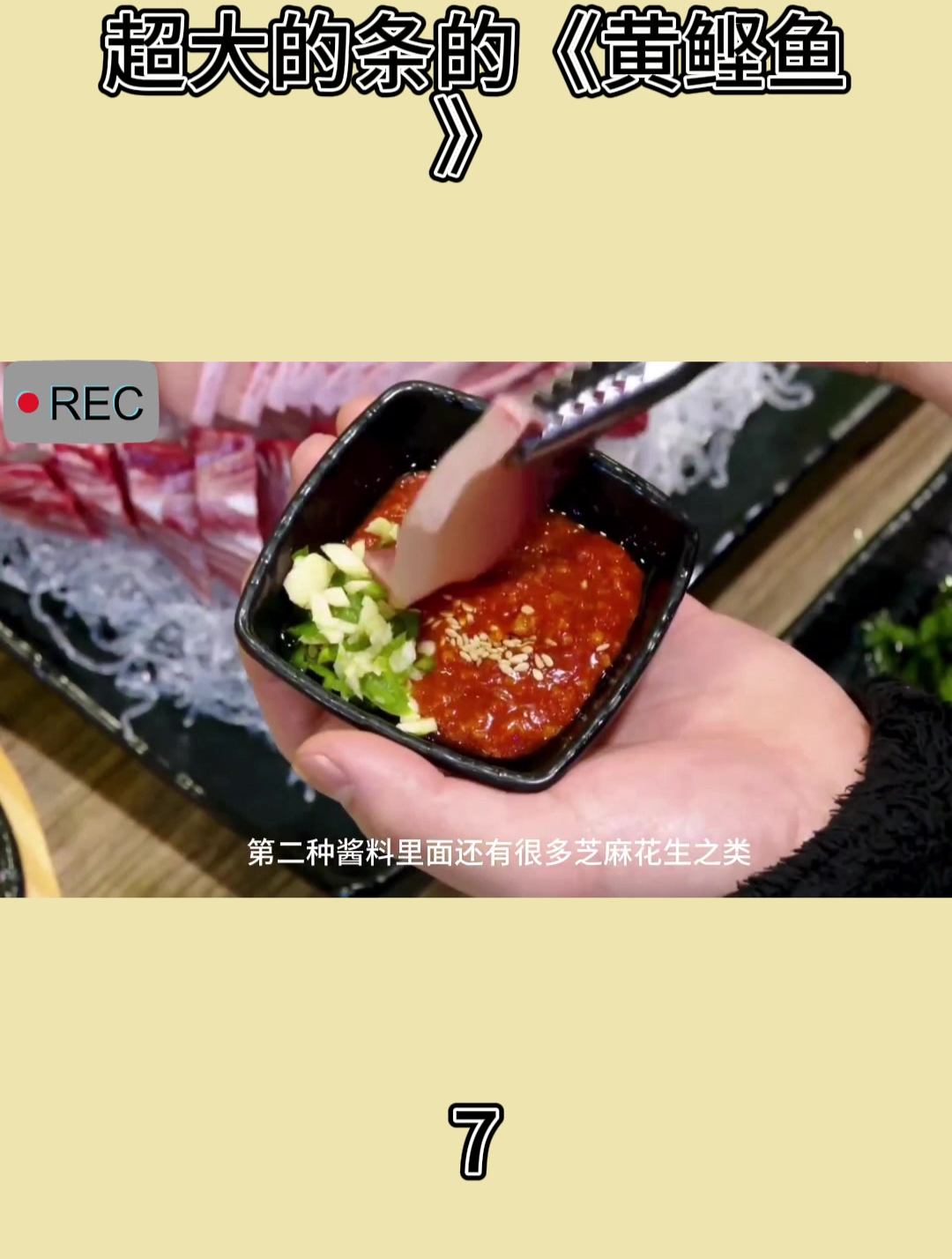超大的条的《黄鲣鱼》7