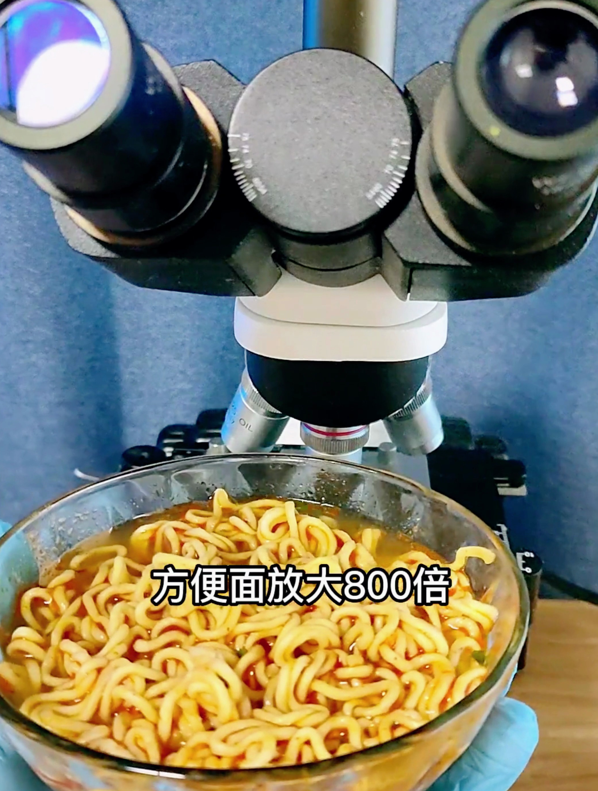 泡面真的不健康吗?显微镜 方便面