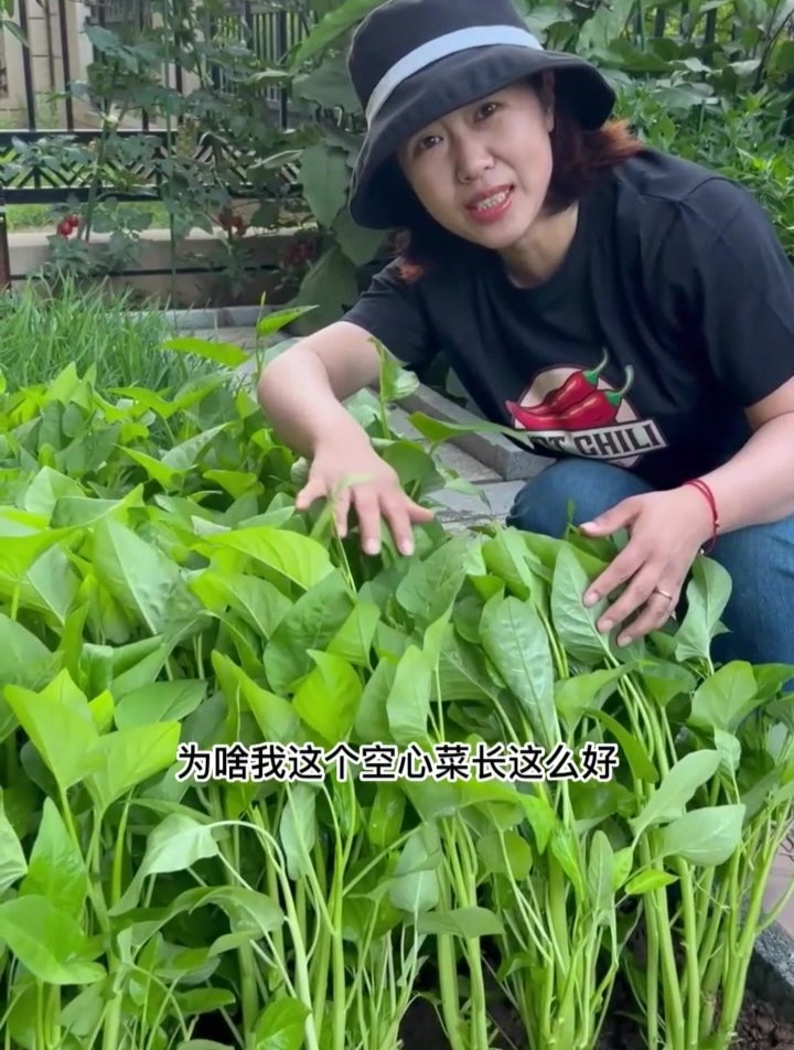 今天给大家分享空心菜种植方法