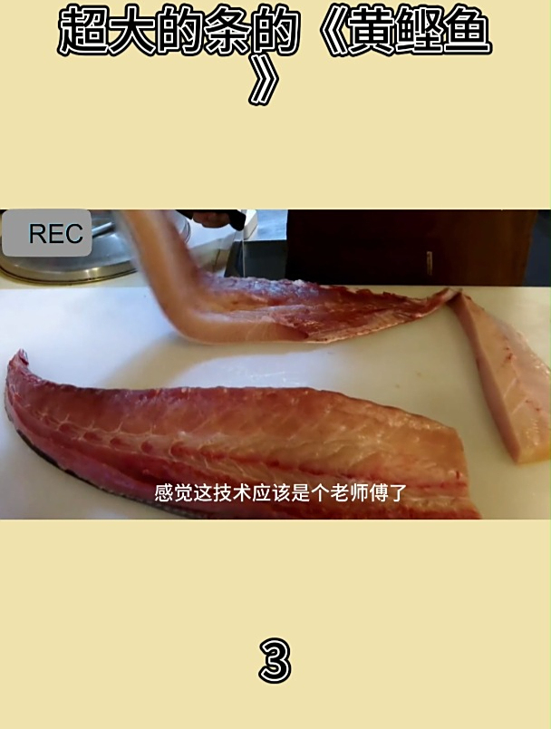 超大的条的《黄鲣鱼》3