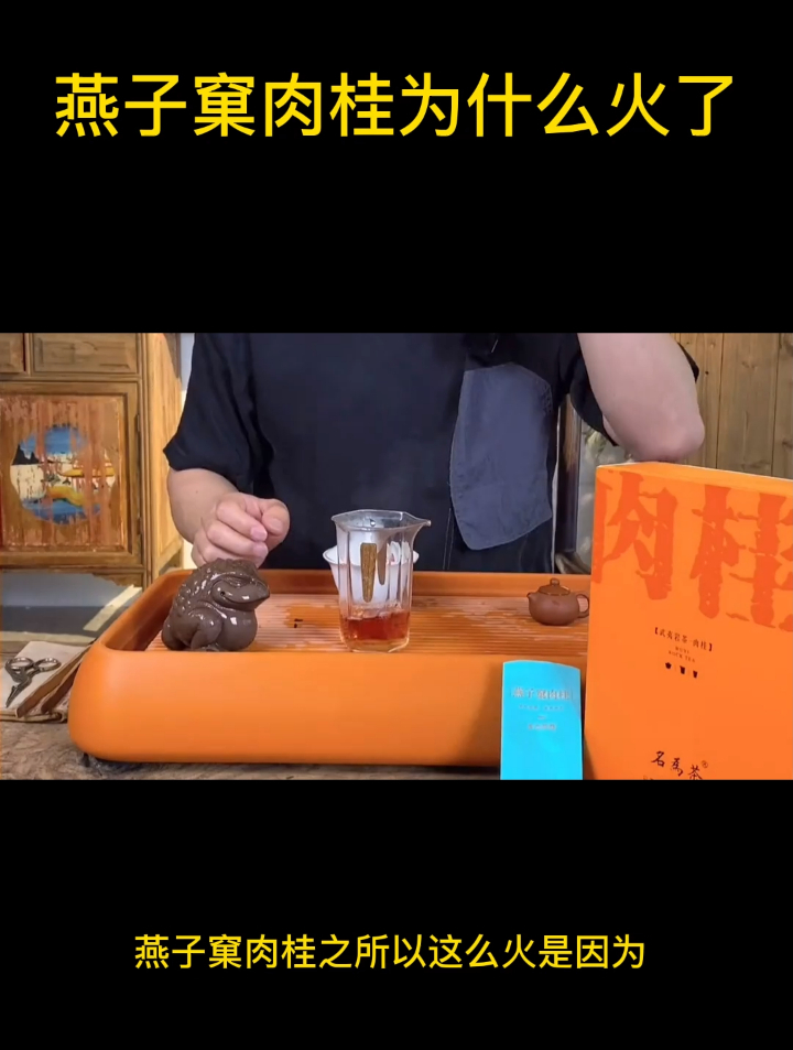 燕子窠肉桂为什么火了