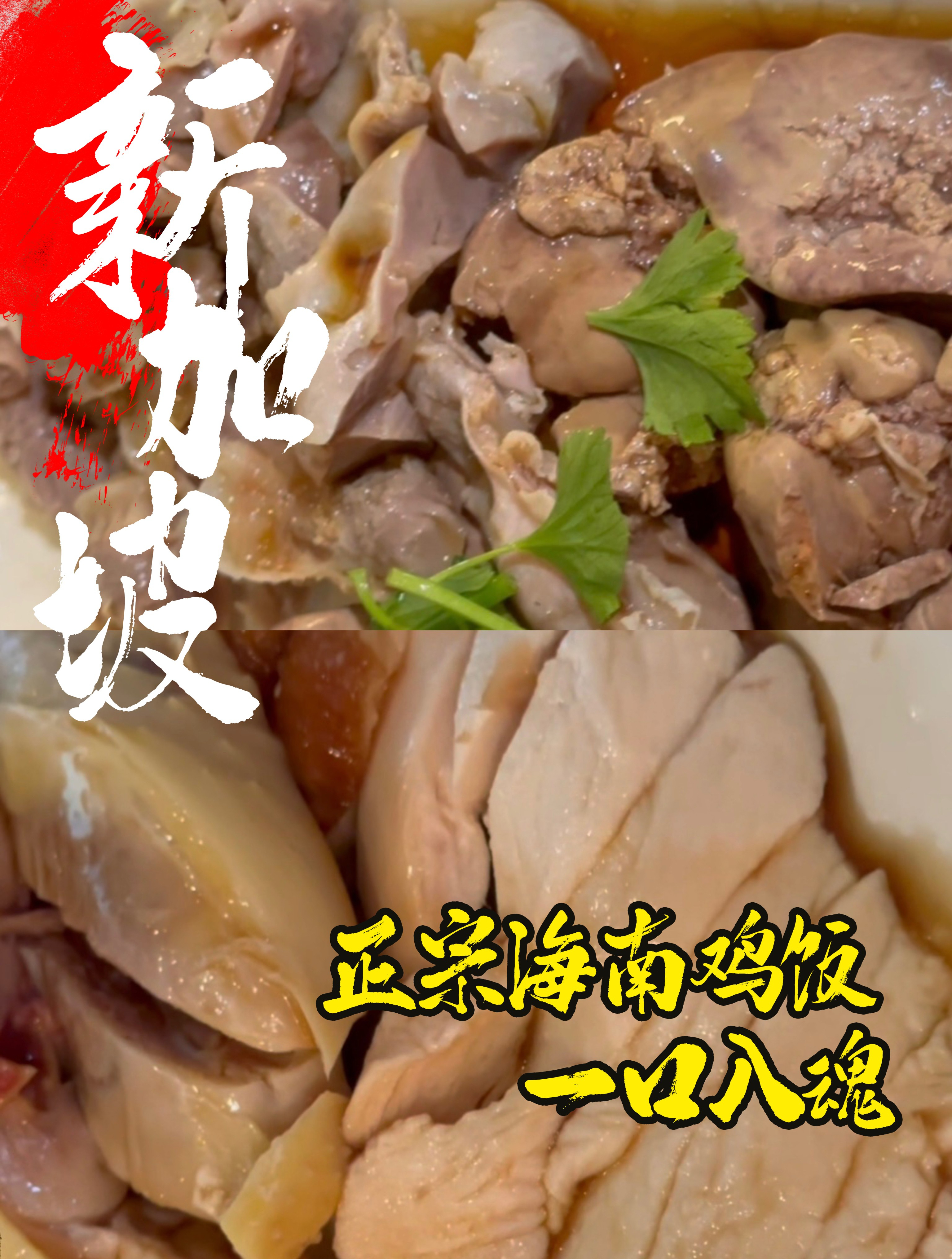 吃鸡先吃皮,饭比鸡好吃,新加坡海南鸡饭哪家最正宗?