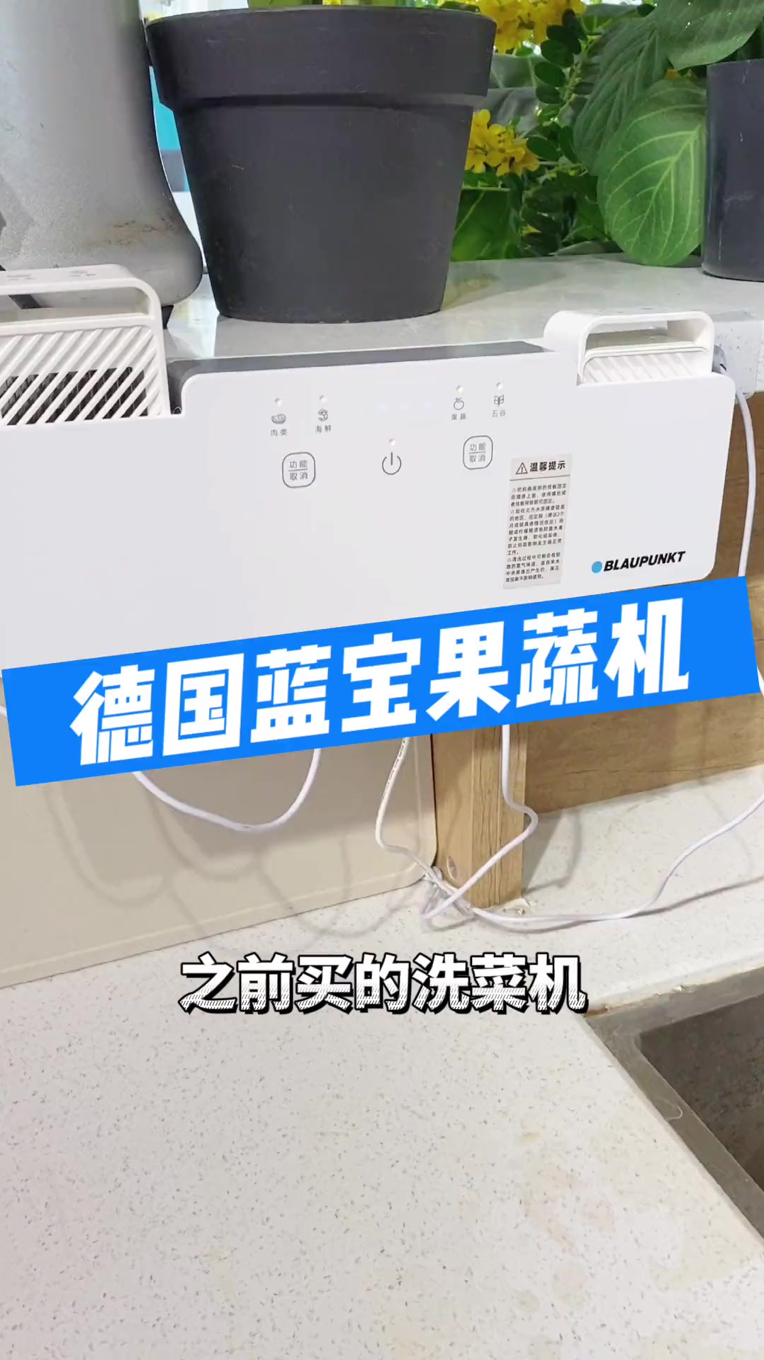 小巧不占地,果蔬肉类海鲜五谷等,容器里泡一泡~