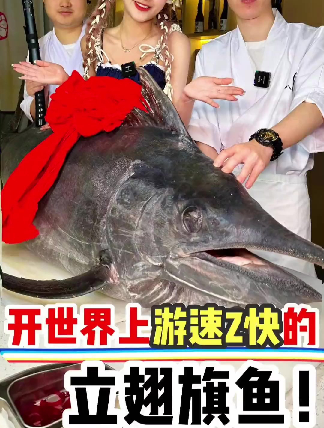 立翅旗鱼怎么没有翅膀呢