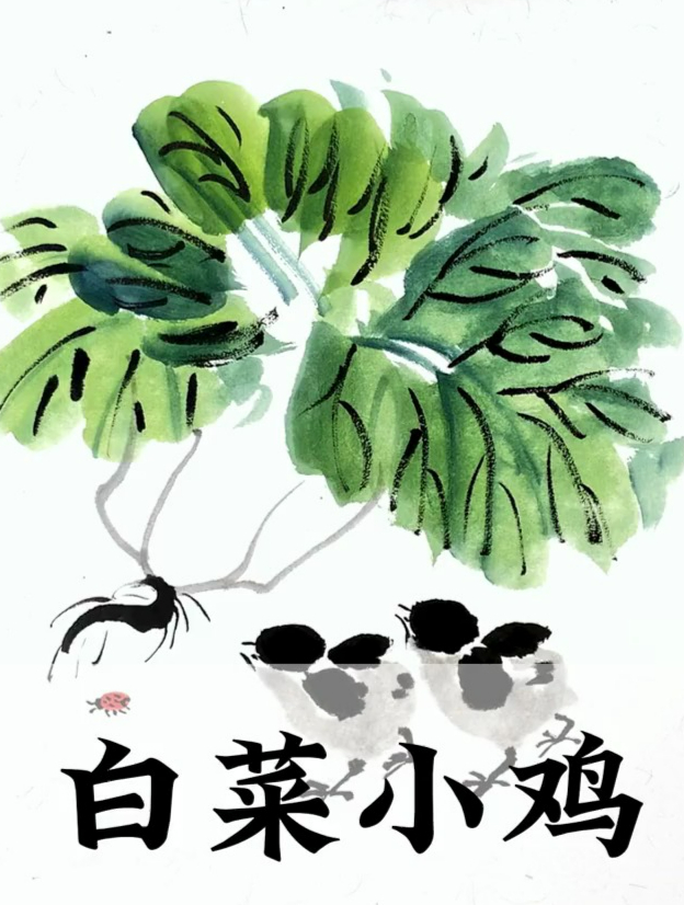 白菜小鸡画法!