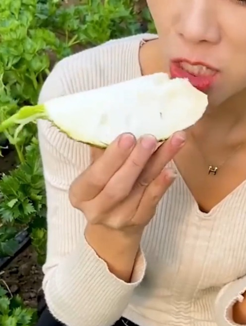 蔬菜界的高端菜“地中海根芹”,肉质肥美,叶子根茎都能吃!