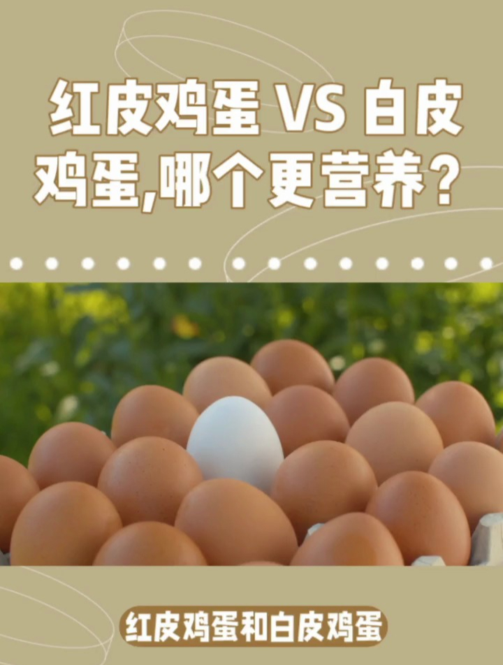 红皮鸡蛋VS白皮鸡蛋,哪个营养价值更高?