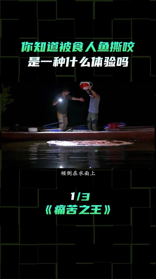 你知道被食人鱼咬是一种什么体验吗?(1)