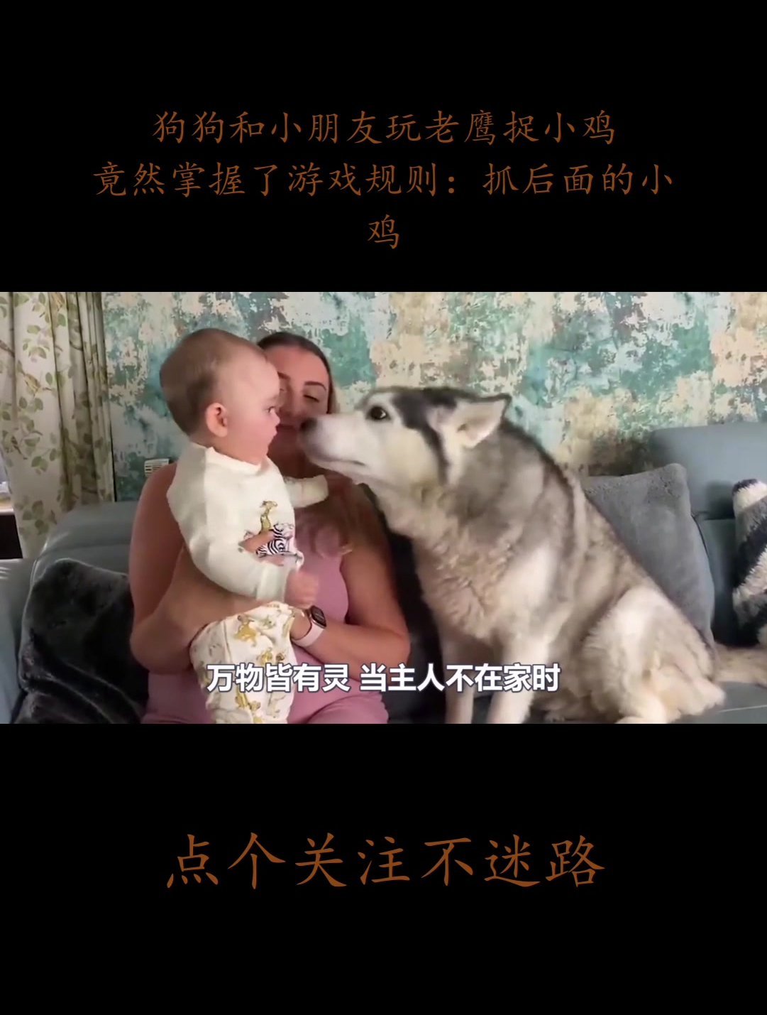 狗狗和小朋友玩老鹰捉小鸡,竟然掌握了游戏规则:抓后面的小鸡