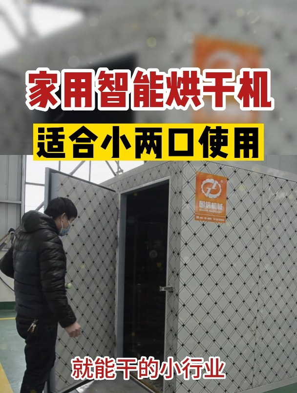 小型家用智能烘干机,瓜果蔬菜都能烘,轻松做个干货小买卖