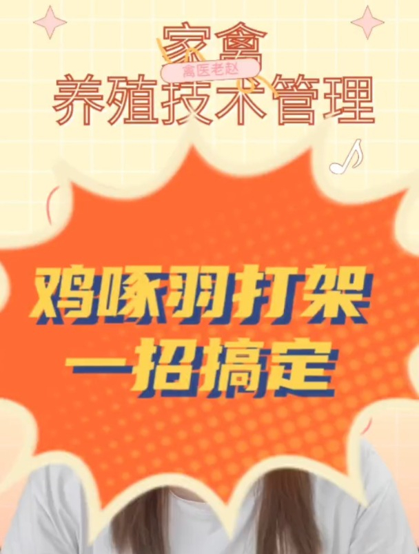 鸡啄毛是怎么回事?散养鸡啄毛如何防治?鸡互相啄毛是什么情况?