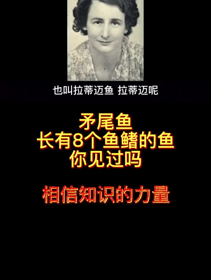 矛尾鱼!长有8个鱼鳍的鱼你见过吗?