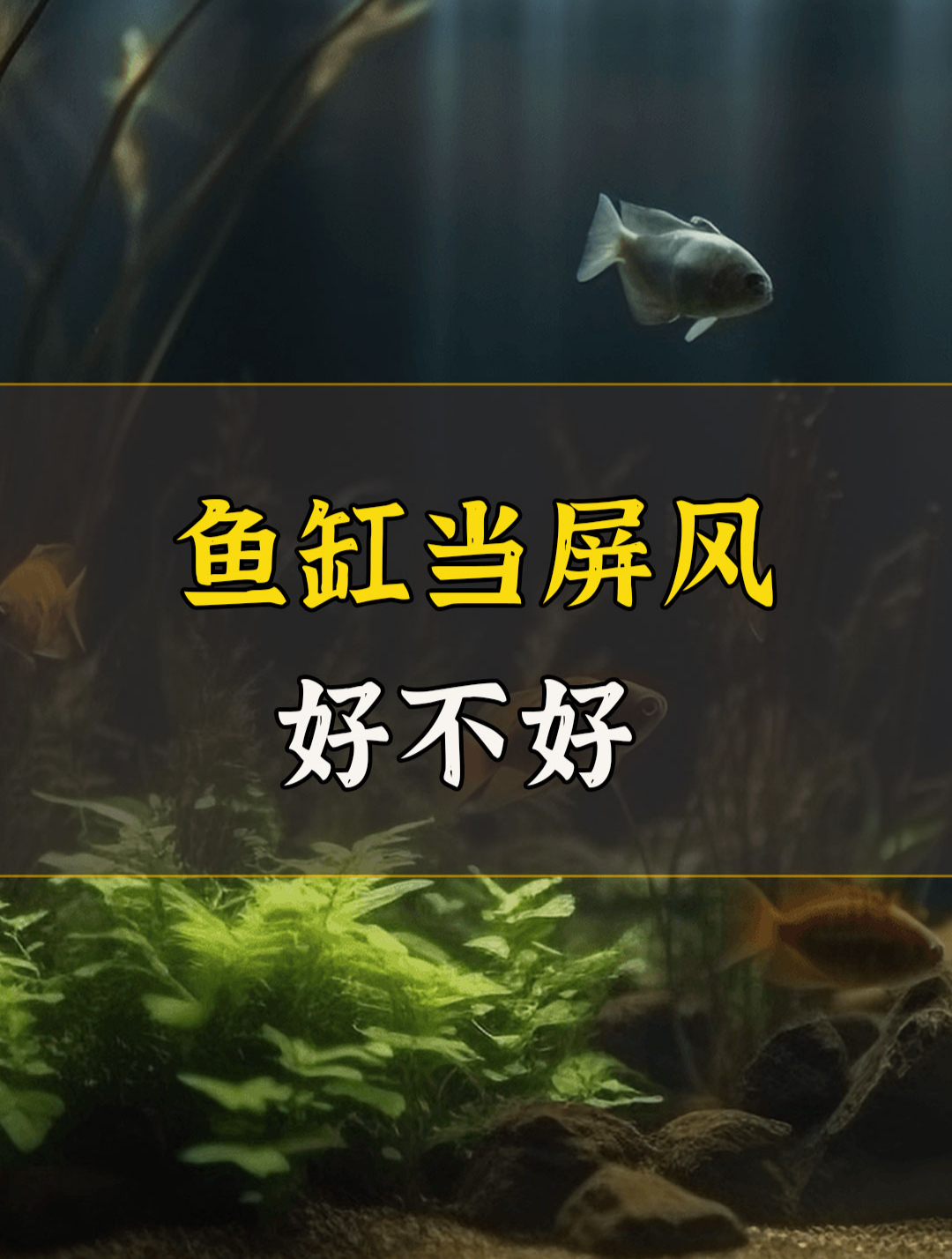 家中用鱼缸当屏风,好不好?