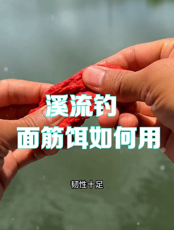 钓石斑马口鱼,饵料用哪种?是否抗流水是重点!