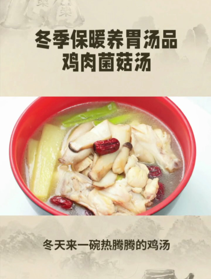 冬季保暖养胃汤品——鸡肉菌菇汤
