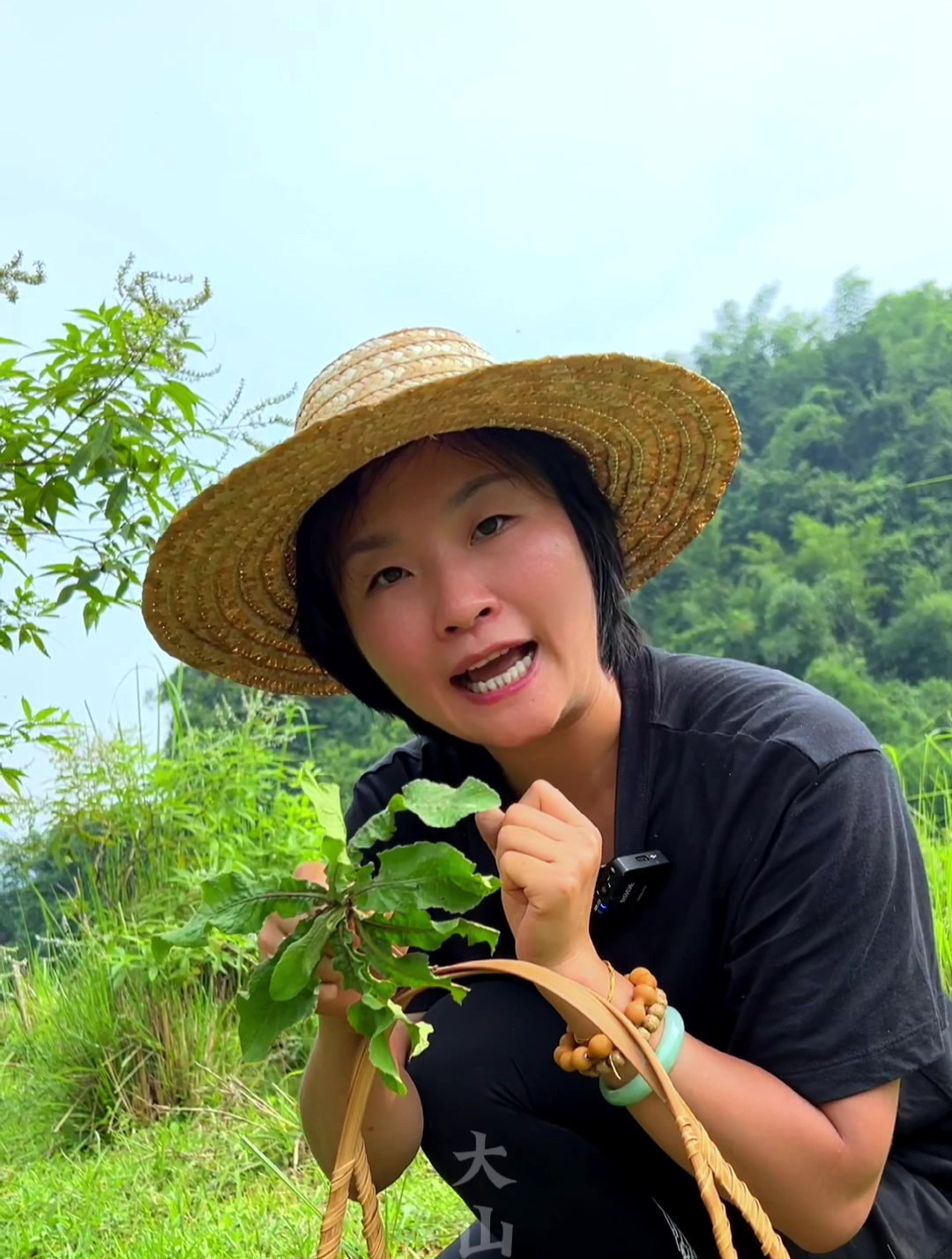 广东人的最爱,地胆头煲青头鸭你试过吗?