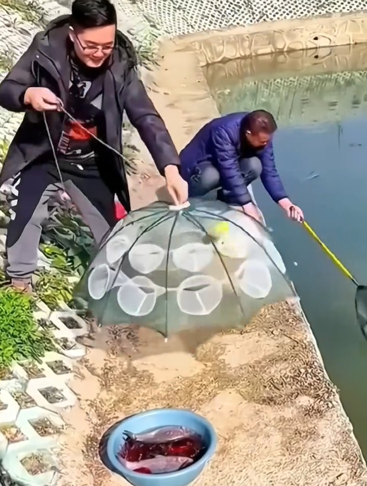 户外钓鱼捕鱼还怕落空吗?带着它不再空军,也可网虾泥鳅,老牛了