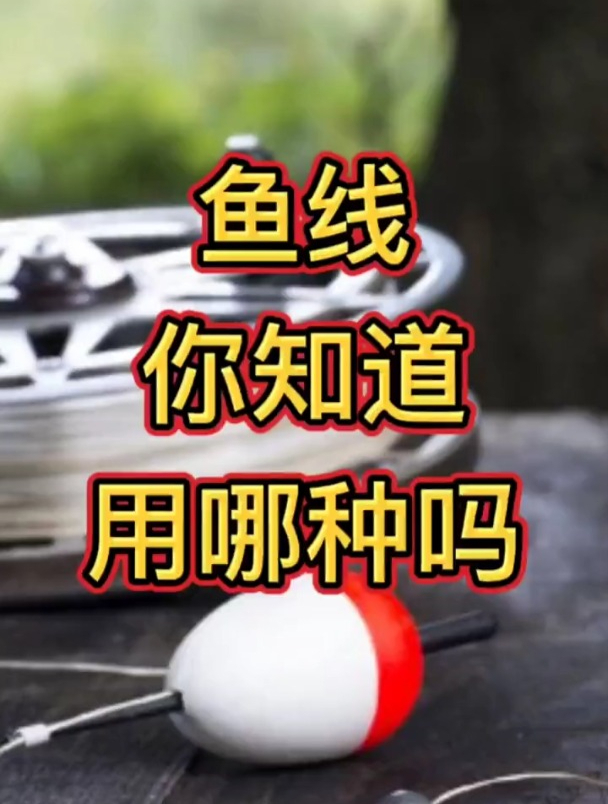钓鱼如何选鱼线?老钓友透露尼龙线、碳线、PE线、大力马优缺点!