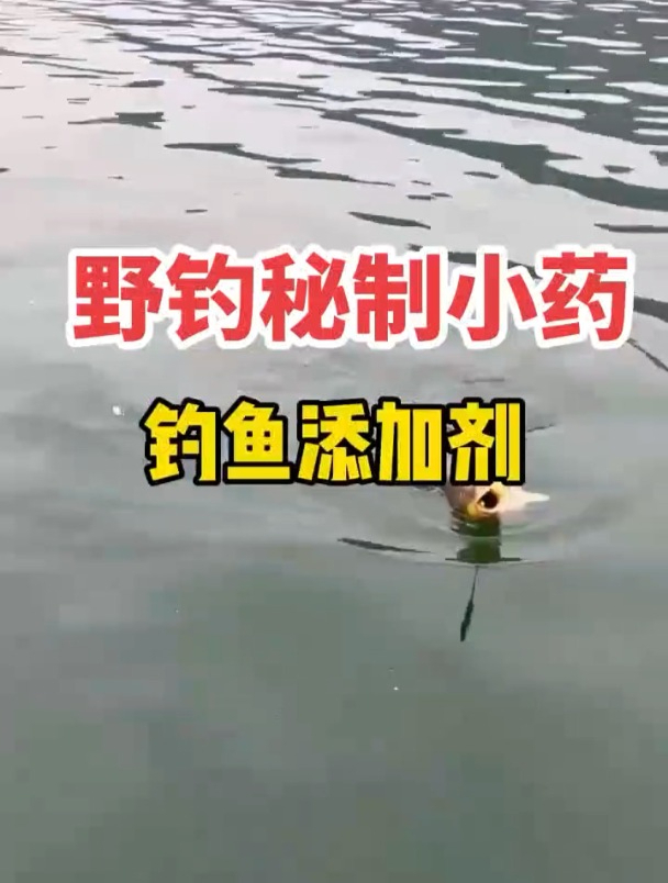 藿香正气水加在饵料中钓鱼,效果如何?钓友实测结果在这!