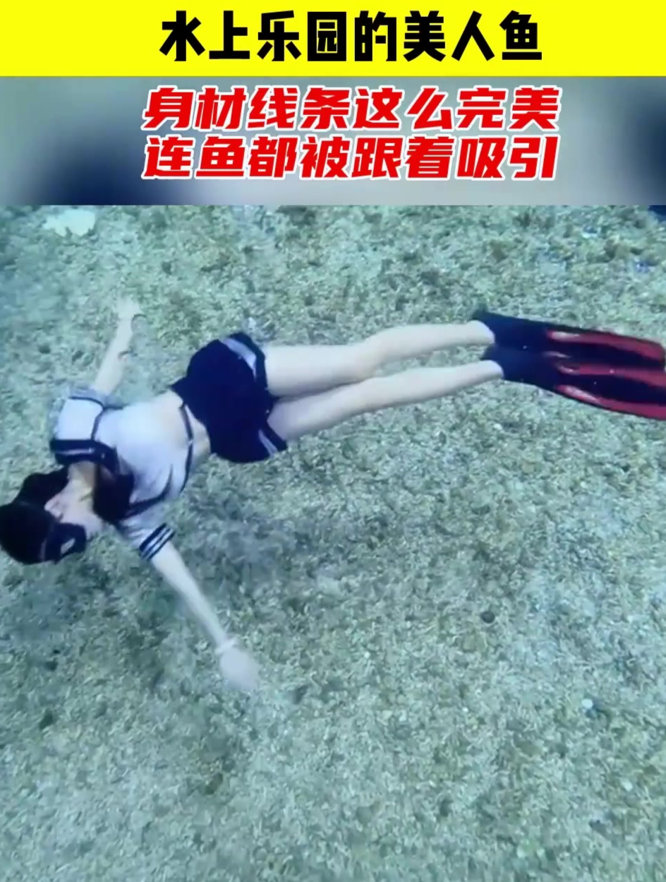 水上乐园的美人鱼,身材线条这么完美,连鱼都被它给吸引了