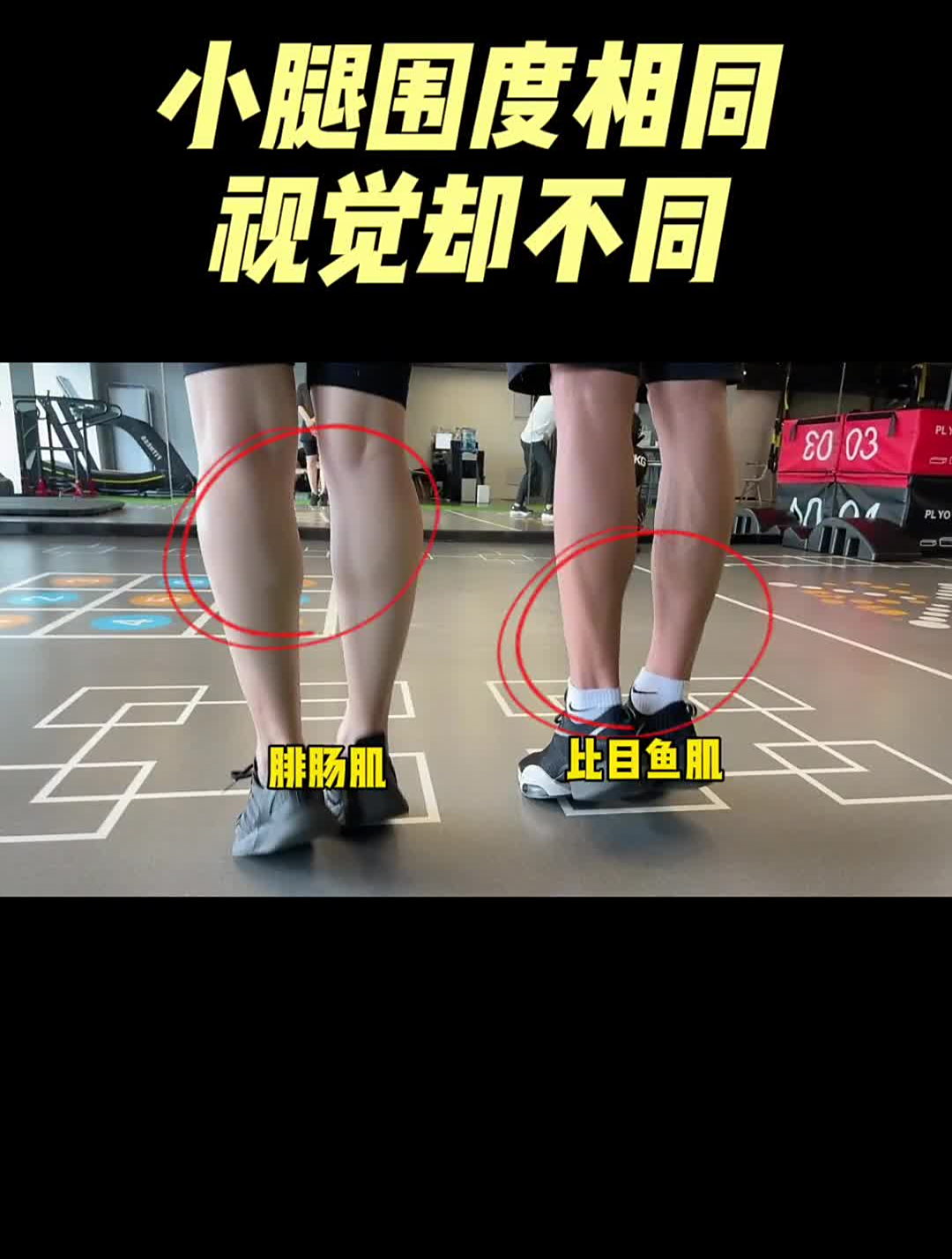深层比目鱼肌组合训练!让你小腿线条更流畅不突出不粗不肿!