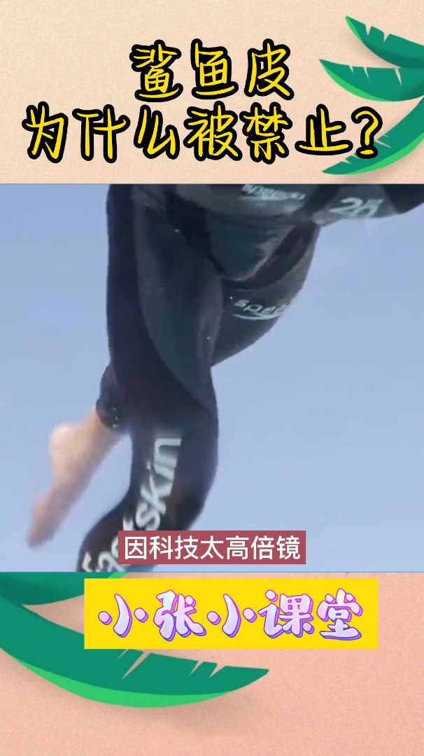 鲨鱼皮为什么被禁止?