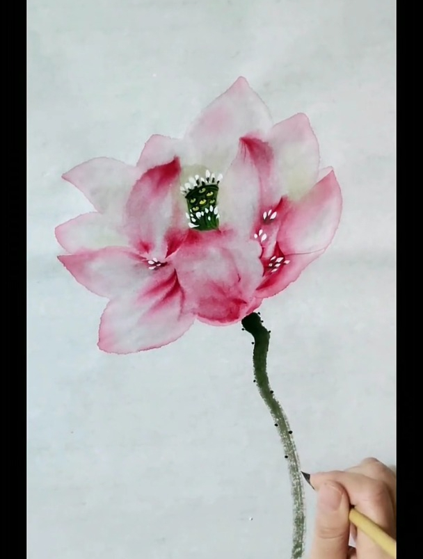 国画荷花画法教学