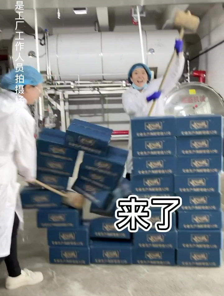 鱿鱼仔 这个鱿鱼仔吃起来又嫩又香,还能切片当个凉菜