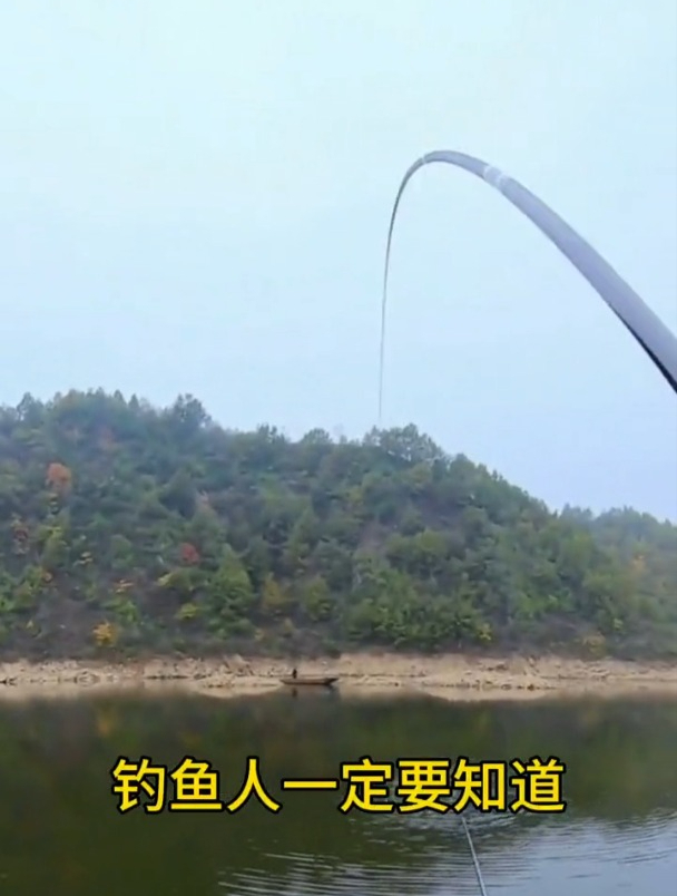 钓鱼先要找对鱼的水层,上层鱼、中层鱼、底层鱼是哪些?
