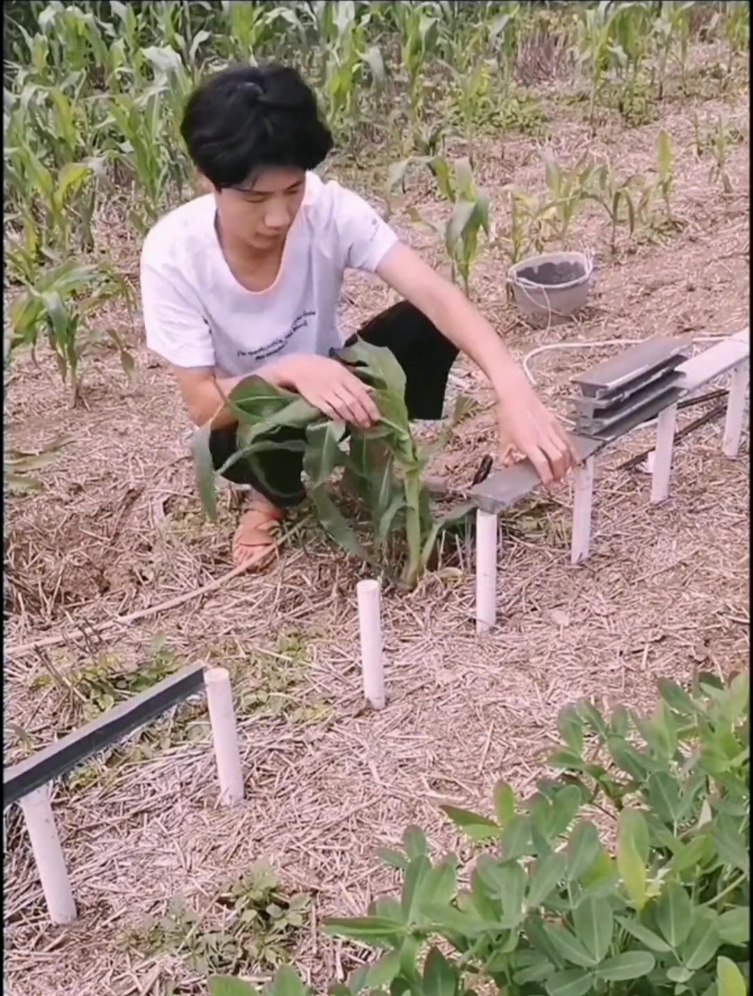 这位农村小伙子,竟然在自家菜园子建起了高铁!