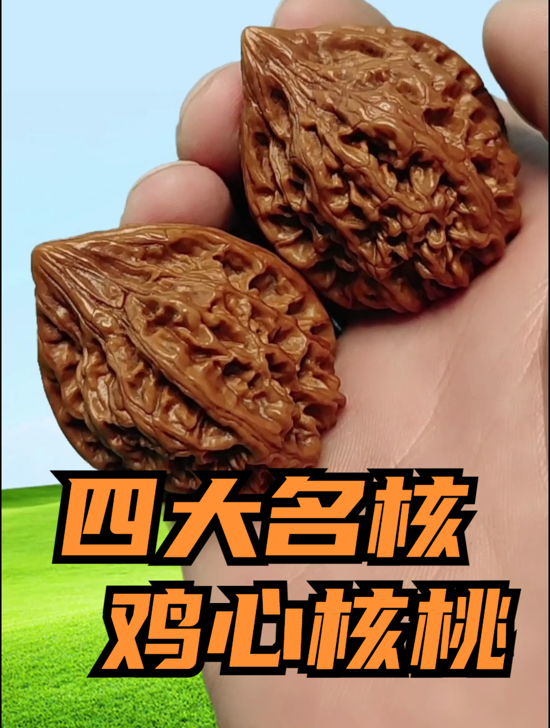 四大名核——鸡心文玩核桃展示