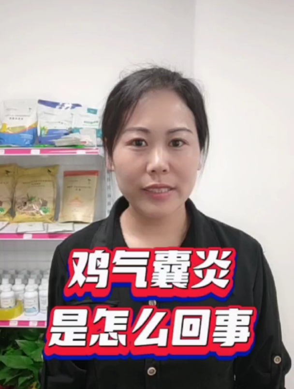 禽医仁青讲鸡气囊炎是怎么回事
