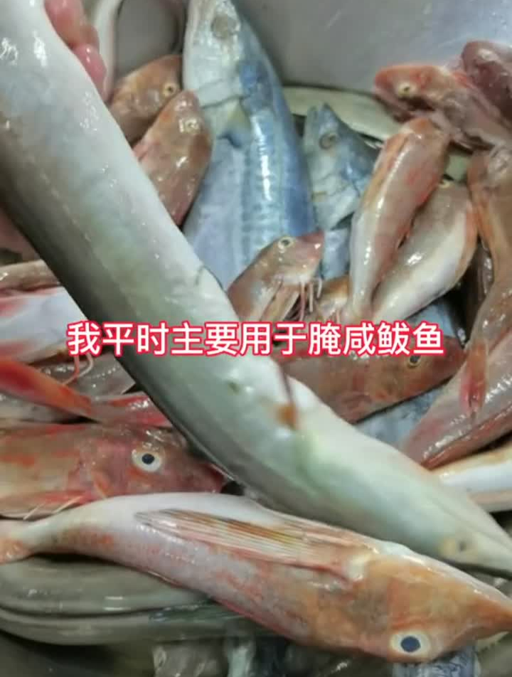 腌咸鱼盐的比例,这种是淡干的不是很咸