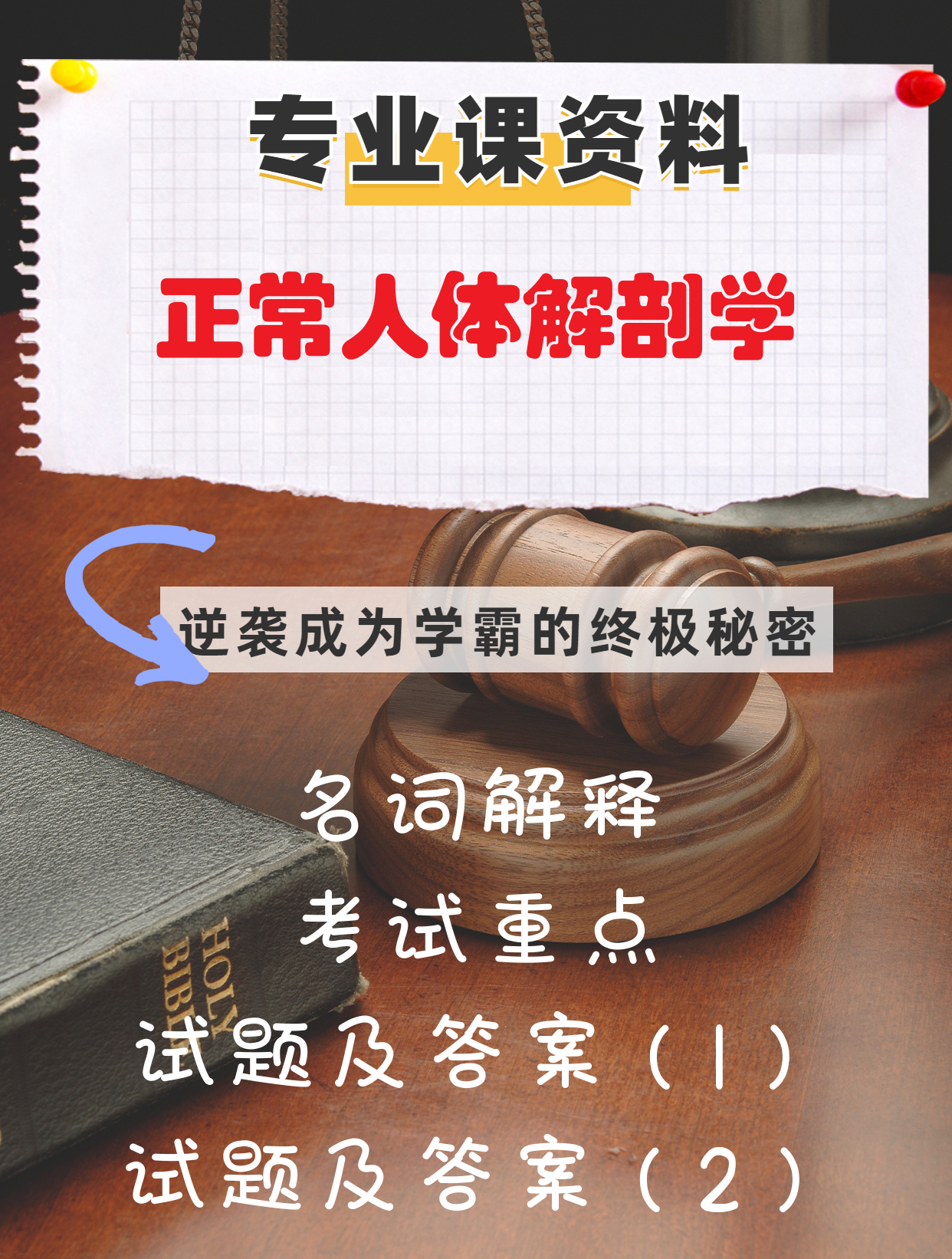 专业课《正常人体解剖学》名词解释考试重点试题及答案重点笔记