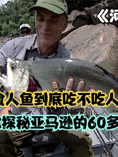 食人鱼到底吃不吃人今天杰瑞带大家一起揭秘亚马逊的60种食人鱼4