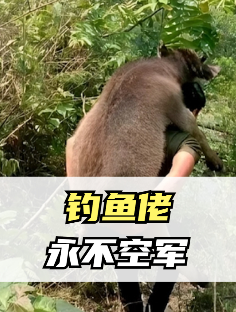 钓鱼佬除了钓不到鱼,其他的都能钓到