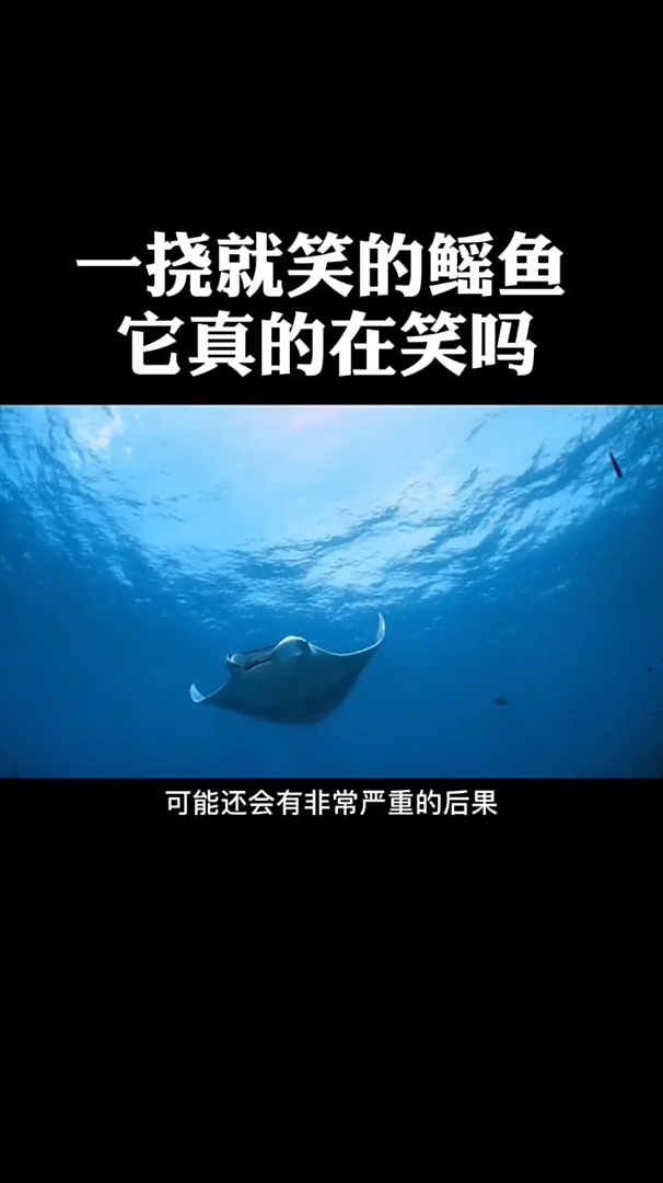 一挠就笑的鳐鱼,它真的在笑吗?