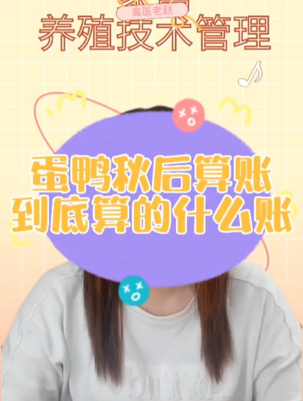 蛋鸭秋后算账，到底算得什么账？你的鸭子是不是吃得多，下蛋降低