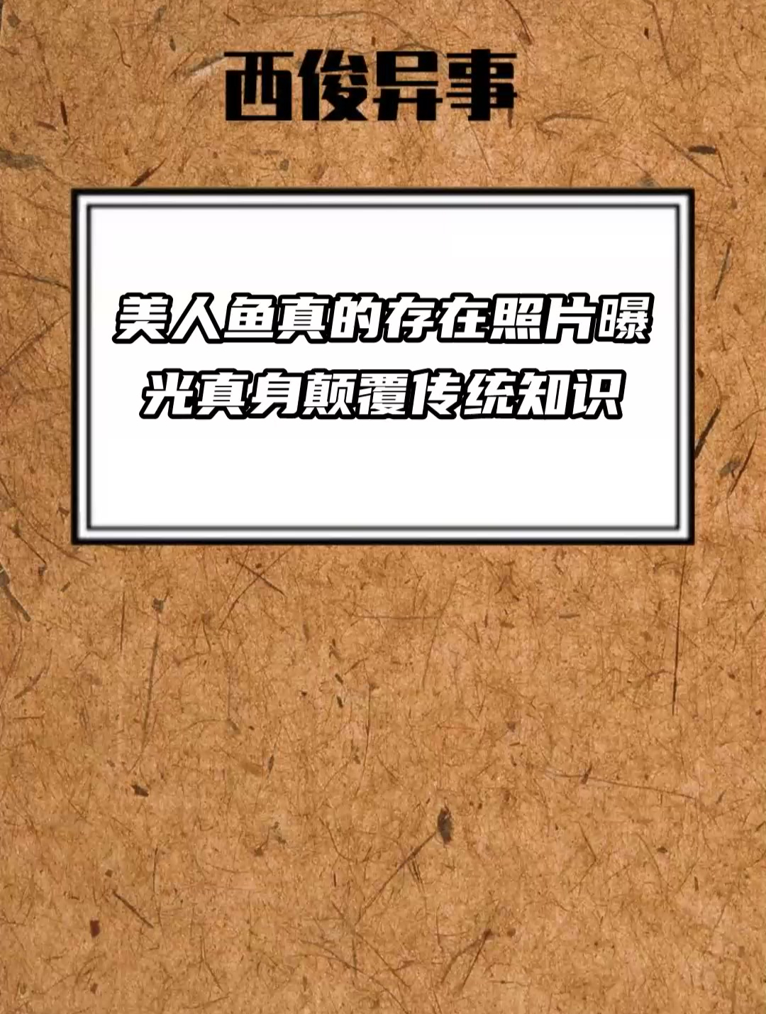 美人鱼真的存在 照片曝光 真身 颠覆传统知识